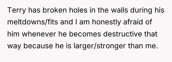 Terry has broken holes in the walls during his meltdowns/fits...