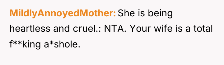 MildlyAnnoyedMother She is being heartless and cruel.: NTA. Your wife...