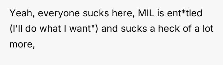 Yeah, everyone sucks here, MIL is ent*tled (I'll do what...