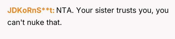 JDKoRnS**t NTA. Your sister trusts you, you can't nuke that.
