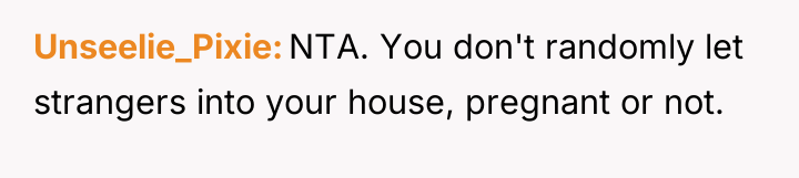 Unseelie_Pixie NTA. You don't randomly let strangers into your house,...