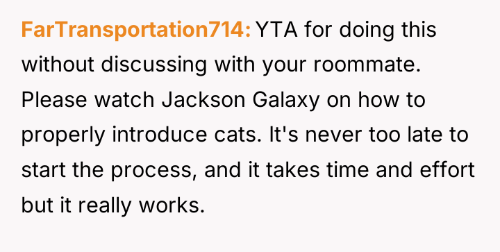FarTransportation714 YTA for doing this without discussing with your roommate....