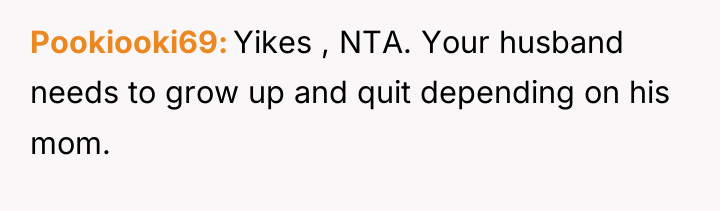 Pookiooki69 Yikes , NTA. Your husband needs to grow up...