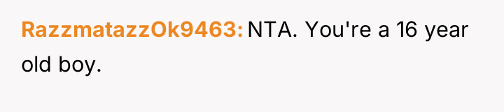 RazzmatazzOk9463 NTA. You're a 16 year old boy.