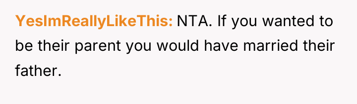 YesImReallyLikeThis NTA. If you wanted to be their parent you...
