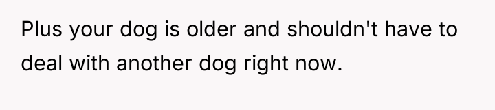 Plus your dog is older and shouldn't have to deal...