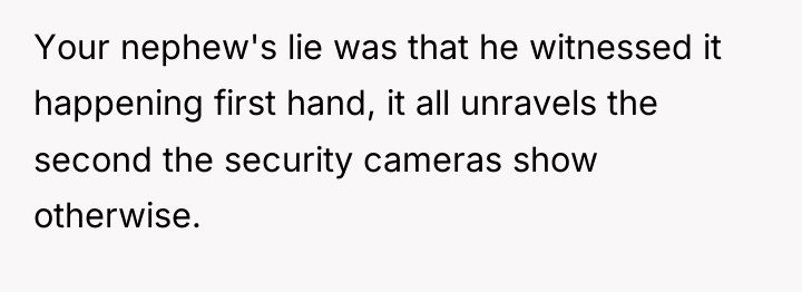 Your nephew's lie was that he witnessed it happening first...