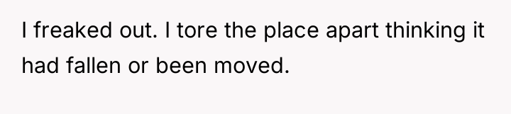 I freaked out. I tore the place apart thinking it...
