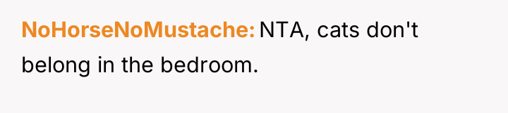NoHorseNoMustache NTA, cats don't belong in the bedroom.