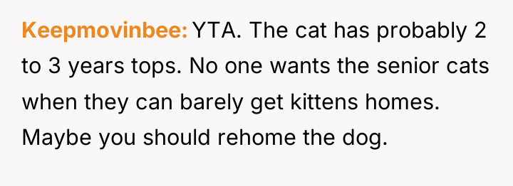 Keepmovinbee YTA. The cat has probably 2 to 3 years...