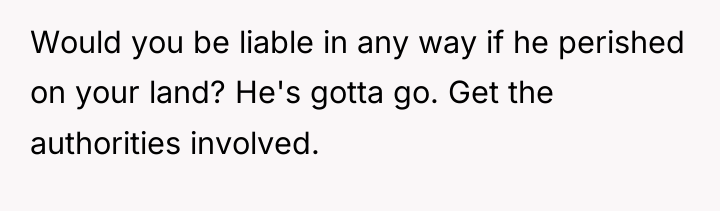 Would you be liable in any way if he perished...
