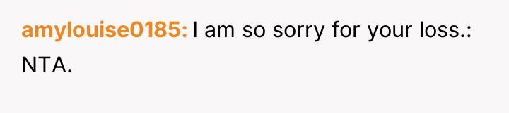 amylouise0185 I am so sorry for your loss.: NTA.