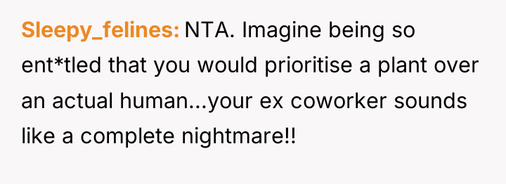 Sleepy_felines NTA. Imagine being so ent*tled that you would prioritise...