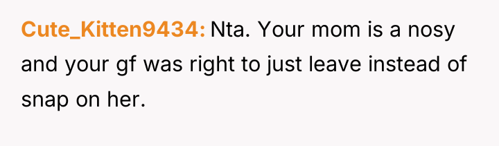 Cute_Kitten9434 Nta. Your mom is a nosy and your gf...
