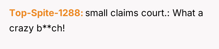 Top-Spite-1288 small claims court.: What a crazy b**ch!