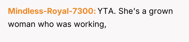 Mindless-Royal-7300 YTA. She's a grown woman who was working,