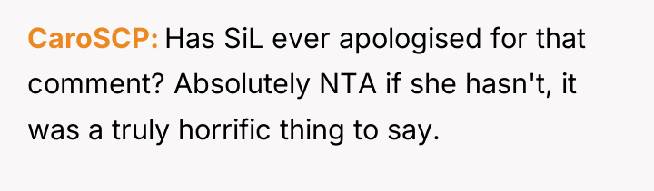 CaroSCP Has SiL ever apologised for that comment? Absolutely NTA...