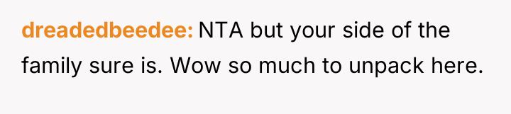 dreadedbeedee NTA but your side of the family sure is....