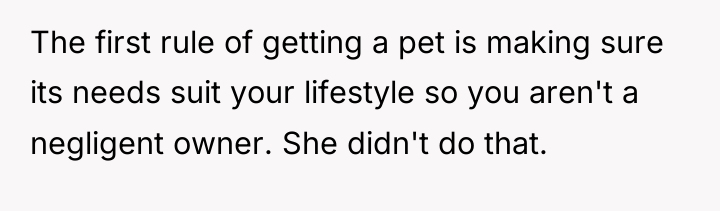 The first rule of getting a pet is making sure...