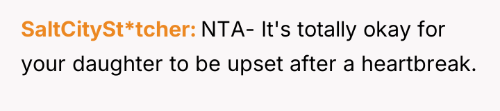 SaltCitySt*tcher NTA- It's totally okay for your daughter to be...