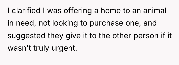 I clarified I was offering a home to an animal...