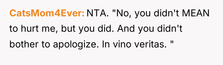 CatsMom4Ever NTA. "No, you didn't MEAN to hurt me, but...