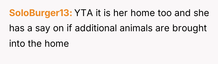SoloBurger13 YTA it is her home too and she has...