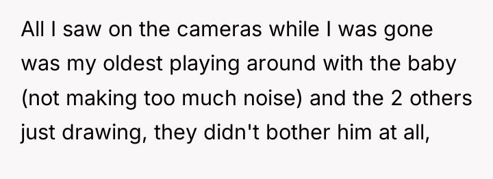 All I saw on the cameras while I was gone...