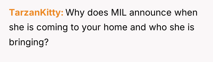 TarzanKitty Why does MIL announce when she is coming to...