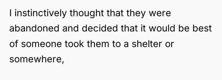 I instinctively thought that they were abandoned and decided that...