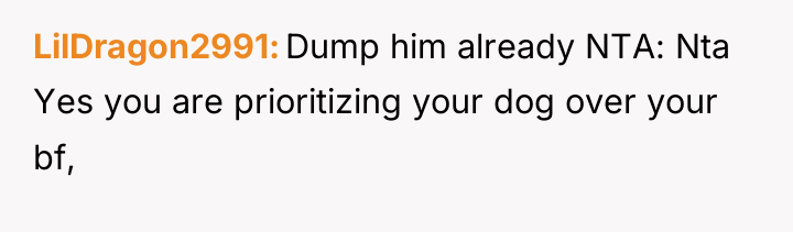 LilDragon2991 Dump him already NTA: Nta Yes you are prioritizing...