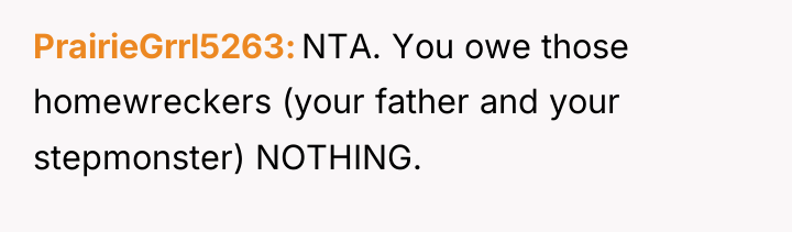 PrairieGrrl5263 NTA. You owe those homewreckers (your father and your...