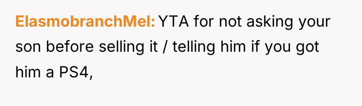 ElasmobranchMel YTA for not asking your son before selling it...