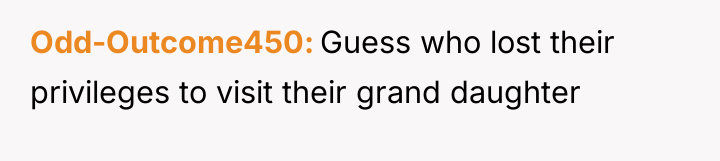 Odd-Outcome450 Guess who lost their privileges to visit their grand...