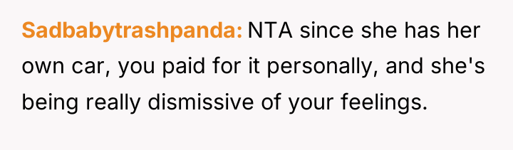 Sadbabytrashpanda NTA since she has her own car, you paid...
