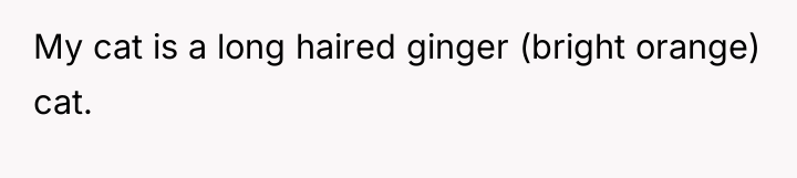 My cat is a long haired ginger (bright orange) cat.