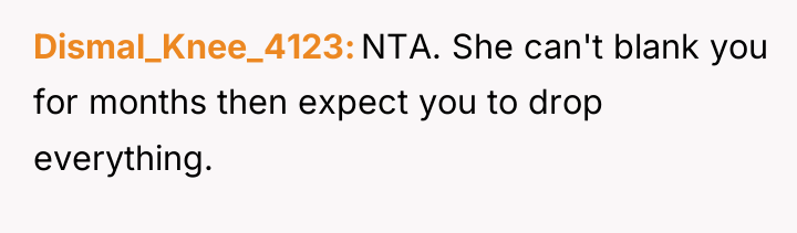 Dismal_Knee_4123 NTA. She can't blank you for months then expect...