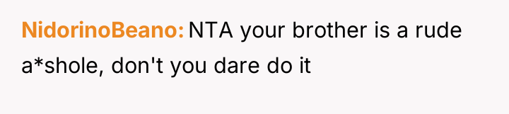 NidorinoBeano NTA your brother is a rude a*shole, don't you...