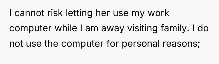 I cannot risk letting her use my work computer while...
