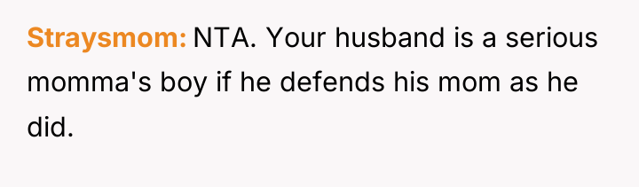 Straysmom NTA. Your husband is a serious momma's boy if...