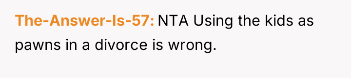 The-Answer-Is-57 NTA Using the kids as pawns in a divorce...