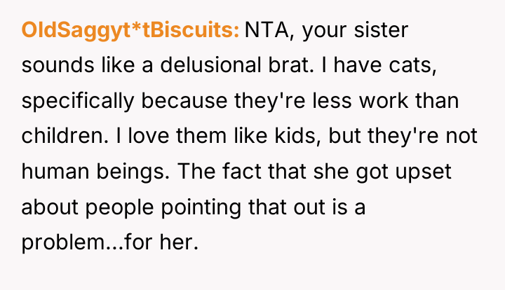 OldSaggyt*tBiscuits NTA, your sister sounds like a delusional brat. I...