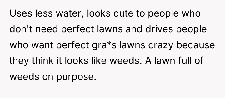 Uses less water, looks cute to people who don't need...