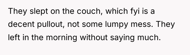 They slept on the couch, which fyi is a decent...