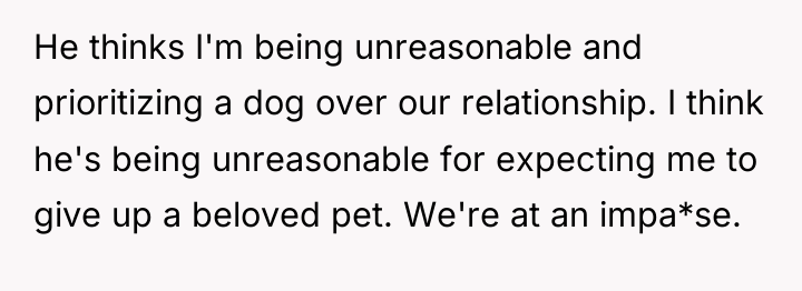 He thinks I'm being unreasonable and prioritizing a dog over...