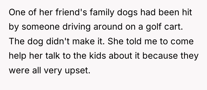 One of her friend's family dogs had been hit by...