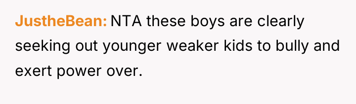 JustheBean NTA these boys are clearly seeking out younger weaker...