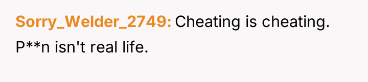 Sorry_Welder_2749 Cheating is cheating. P**n isn't real life.