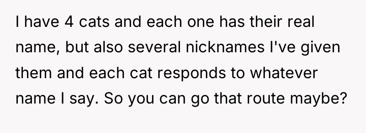 I have 4 cats and each one has their real...