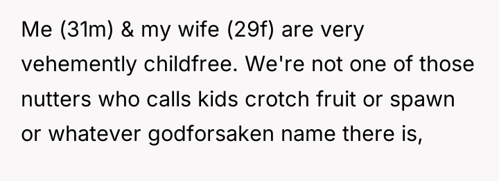 Me (31m) & my wife (29f) are very vehemently childfree....